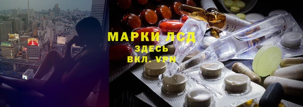 прущие грибы Куйбышев