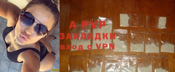 прущие грибы Куйбышев