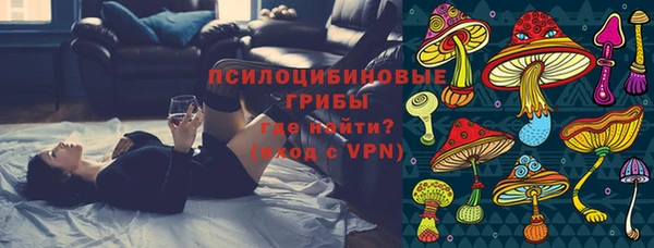 прущие грибы Куйбышев