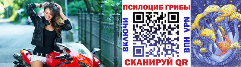 блэк спрут онион  Майский  Галлюциногенные грибы Psilocybe 
